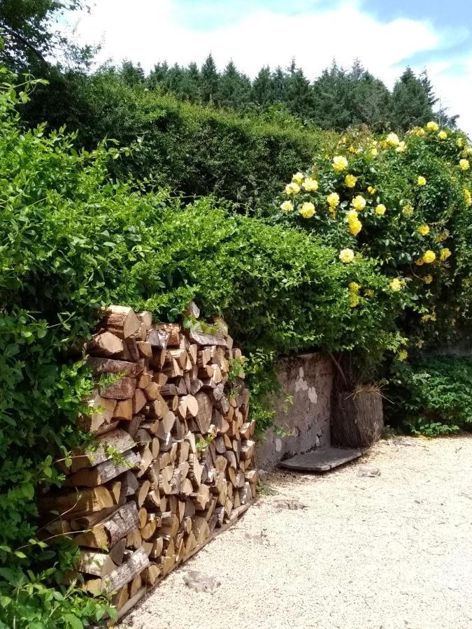 La Maison Du Potager Saint-Racho Εξωτερικό φωτογραφία
