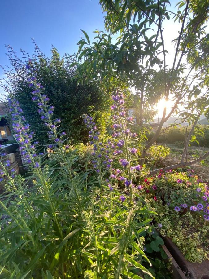 La Maison Du Potager Saint-Racho Εξωτερικό φωτογραφία