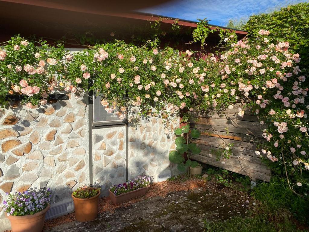 La Maison Du Potager Saint-Racho Εξωτερικό φωτογραφία