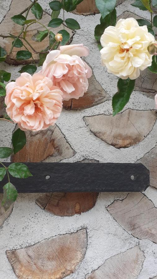 La Maison Du Potager Saint-Racho Εξωτερικό φωτογραφία