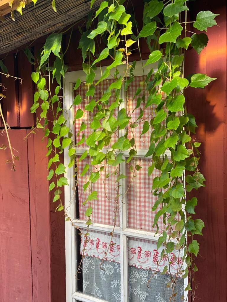 La Maison Du Potager Saint-Racho Εξωτερικό φωτογραφία